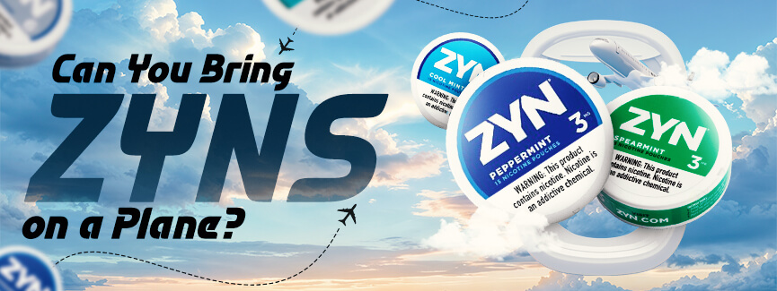 Can You Bring ZYNs on a Plane? Here's the Real Deal
