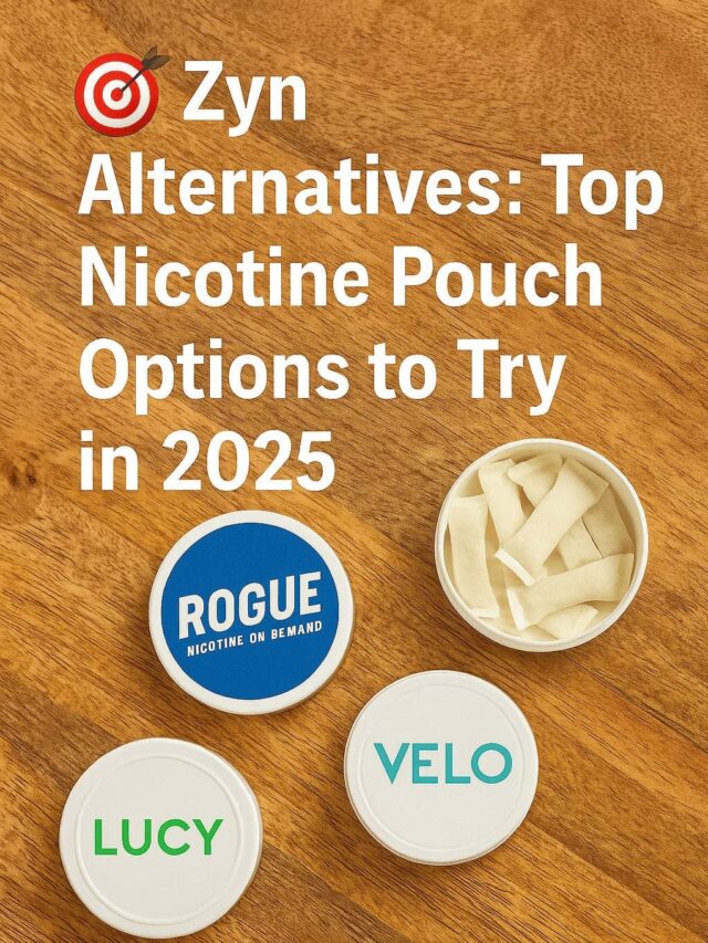 🎯 Zyn Alternatives: Top Nicotine Pouch Options to Try in 2025