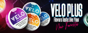 Best Velo Plus Flavors to Try 2025
