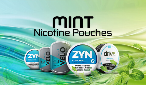 Mint Nicotine Pouches