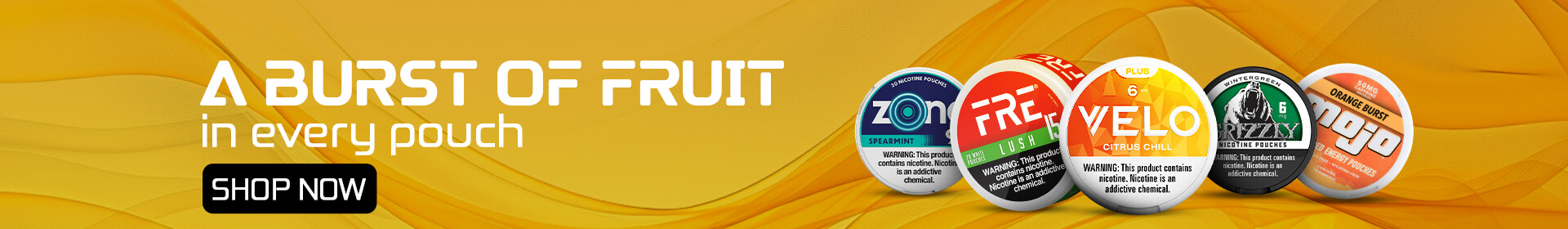 Fruit Flavor Nicotine Pouches