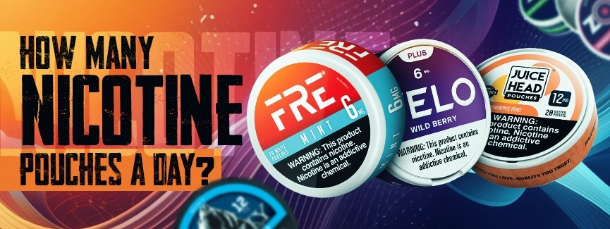 How Many Nicotine Pouches a Day?