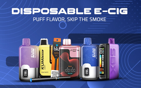 geek bar similar vapes Buy Disposable E-Cigs Online | Popular E-Cig