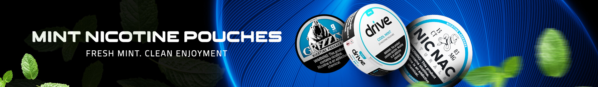 Mint Nicotine Pouches