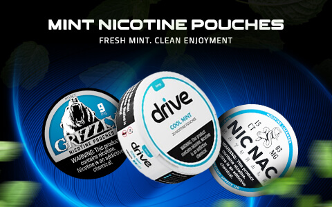 Mint Nicotine Pouches