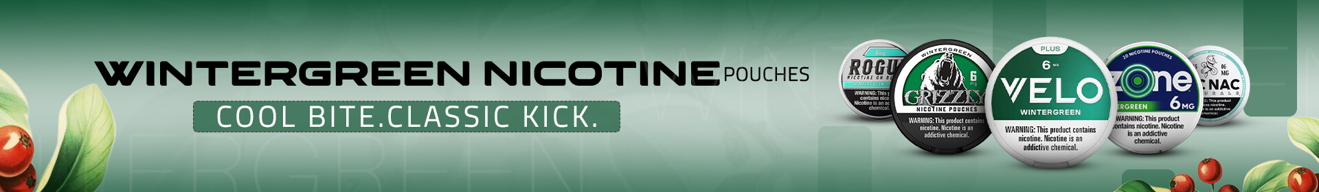 Wintergreen nicotine pouches