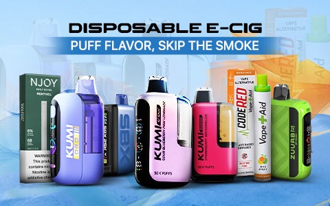 Disposable E-Cigs